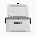 Lodówka turystyczna Igloo Latitude Marine Ultra 54 51 l white/moonscape gray 4