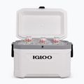 Lodówka turystyczna Igloo Latitude Marine Ultra 54 51 l white/moonscape gray 10