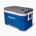 Lodówka turystyczna Igloo Latitude 52 49 l indigo blu/meteorite 2