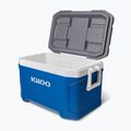 Lodówka turystyczna Igloo Latitude 52 49 l indigo blu/meteorite 7