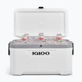 Lodówka turystyczna Igloo Latitude Marine Ultra 70 66 l white/moonscape gray 10