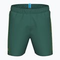 Szorty kąpielowe męskie arena Fundamentals Arena Logo Boxer R artic lime/mangrove 3