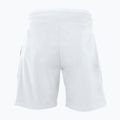Spodenki tenisowe męskie Tecnifibre 23STRE Stretch white 2