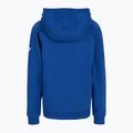 Bluza tenisowa dziecięca Tecnifibre 21FLHO Fleece Hoodie Jr royal 2