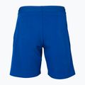 Spodenki tenisowe dziecięce Tecnifibre 23STRE Stretch royal 2
