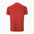 Koszulka tenisowa męska Tecnifibre Team Tech Tee terracota 5