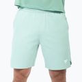 Spodenki tenisowe męskie Tecnifibre Team Stretch Short sage 2