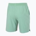 Spodenki tenisowe męskie Tecnifibre Team Stretch Short sage 4