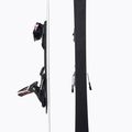 Narty zjazdowe Dynastar Omeglass WC Fis SL R22 + wiązania SPX12 R 5