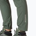 Spodnie trekkingowe męskie Rossignol SKPR ebony green 6