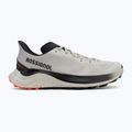 Buty do biegania męskie Rossignol Venosk light grey 2