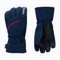 Rękawice narciarskie męskie Rossignol Perf R-Shell Thermal dark navy 2