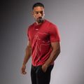 Koszulka męska Venum Giant Connect T-Shirt carmin 3