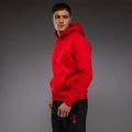 Bluza męska Venum x Mike Tyson Tiger Hoodie intense red/deep black 4