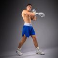 Spodenki treningowe męskie Venum Classic Boxing royal blue 3
