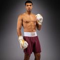Spodenki treningowe męskie Venum Classic Boxing burgundy 2
