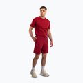 Spodenki treningowe męskie Venum Giant 3D Cotton red 2