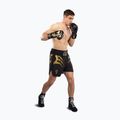 Spodenki treningowe męskie Venum x Mike Tyson Tiger black/gold 2