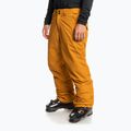 Spodnie snowboardowe męskie Quiksilver Estate buckthorn brown 7