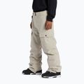 Spodnie snowboardowe męskie DC Code plaza taupe 3