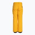 Spodnie snowboardowe dziecięce Quiksilver Estate Youth mineral yellow 6