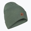 Czapka snowboardowa męska Quiksilver Brigade laurel wreath 6