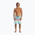 Szorty kąpielowe męskie Quiksilver Everyday Stripe 19 limpet shell 4