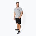 T-shirt męski Everlast Shawnee szary 807600-60 2