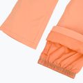 Spodnie snowboardowe damskie ROXY Backyard peach pink 11