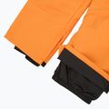 Spodnie snowboardowe męskie DC Banshee oriole 8
