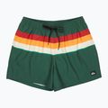 Szorty kąpielowe męskie Quiksilver Everyday Printed Volley 15" forest outside stripe