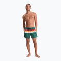 Szorty kąpielowe męskie Quiksilver Everyday Printed Volley 15" forest outside stripe 4