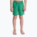 Szorty kąpielowe dziecięce Quiksilver Everyday Volley 14" leprechaun 3