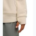 Bluza męska DC Snowstar oatmeal 5
