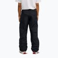 Spodnie snowboardowe męskie DC Banshee black 3
