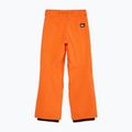 Spodnie snowboardowe dziecięce Quiksilver Estate vermillon 7