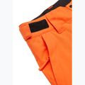 Spodnie snowboardowe dziecięce Quiksilver Estate vermillon 9