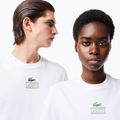 Koszulka Lacoste TH1147 white 3