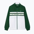 Dres tenisowy męski Lacoste WH7567 green/white 6