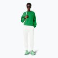 Bluza damska Lacoste SF5614 calathea 2