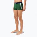 Bokserki męskie Lacoste 5H1291 3-pak thyme/navy blue/white 3