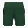 Spodenki tenisowe męskie Lacoste GH0138 green 2
