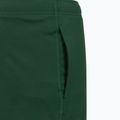 Spodenki tenisowe męskie Lacoste GH0138 green 5