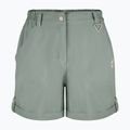 Spodenki trekkingowe damskie Aulp Derby lichen 3
