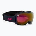 Gogle narciarskie Julbo Pioneer blue/pink/flash pink