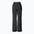 Spodnie narciarskie damskie Picture Exa 20/20 2022 black 10