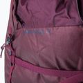 Plecak turystyczny BLUE ICE Warthog Pack 40 l winetasting 7