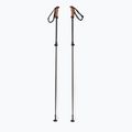 Kije narciarskie Elan Voyager Rod black
