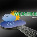 Zestaw do tenisa stołowego Donic-Schildkröt Table Tennis Outdoor Weatherproof 788662 8