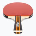 Zestaw do tenisa stołowego JOOLA Family Advanced Set 6